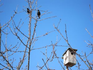 SCSS Nesting