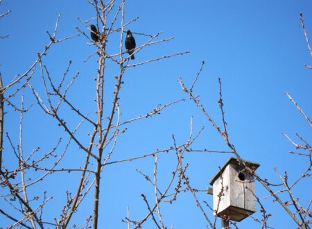 SCSS Nesting