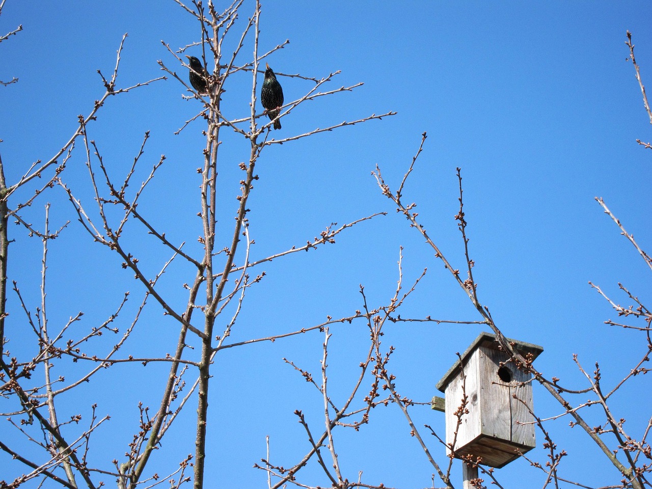 Home 18 SCSS Nesting